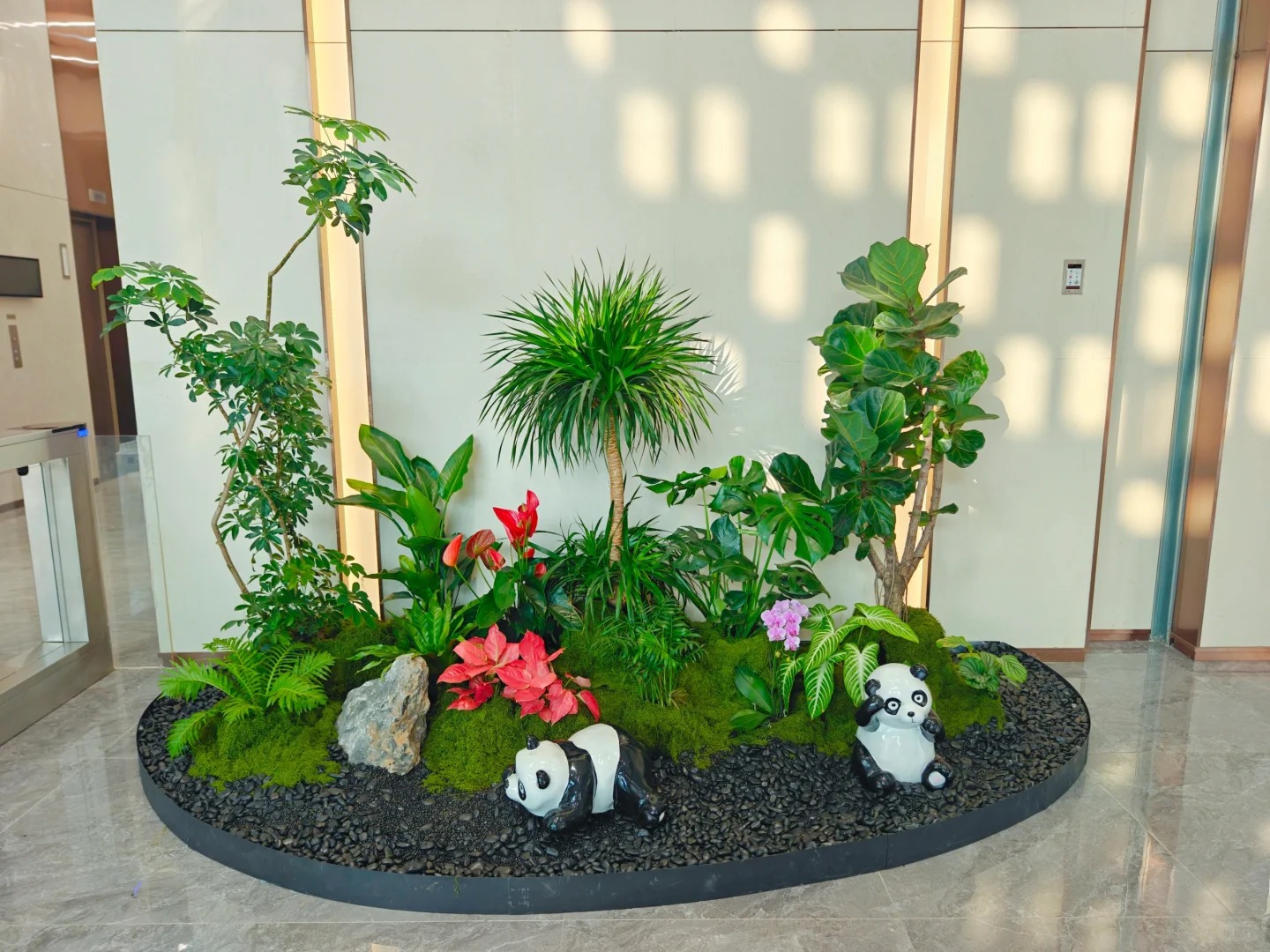 专业植物出租在江北,满足多样绿植需求